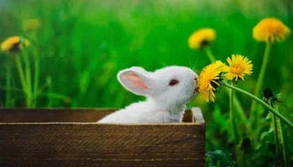 99图库-复盘回顾-学习路线-统计中心,9959图片大全